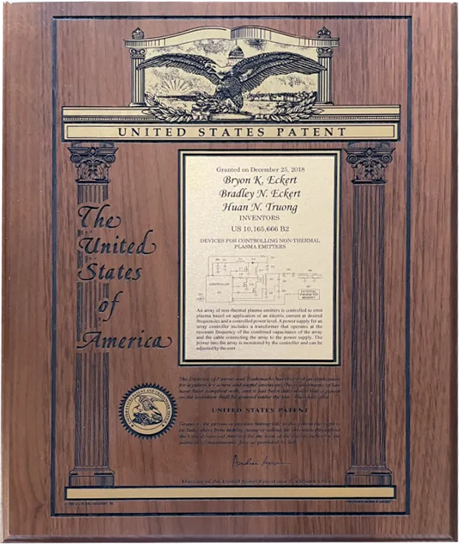 Patent