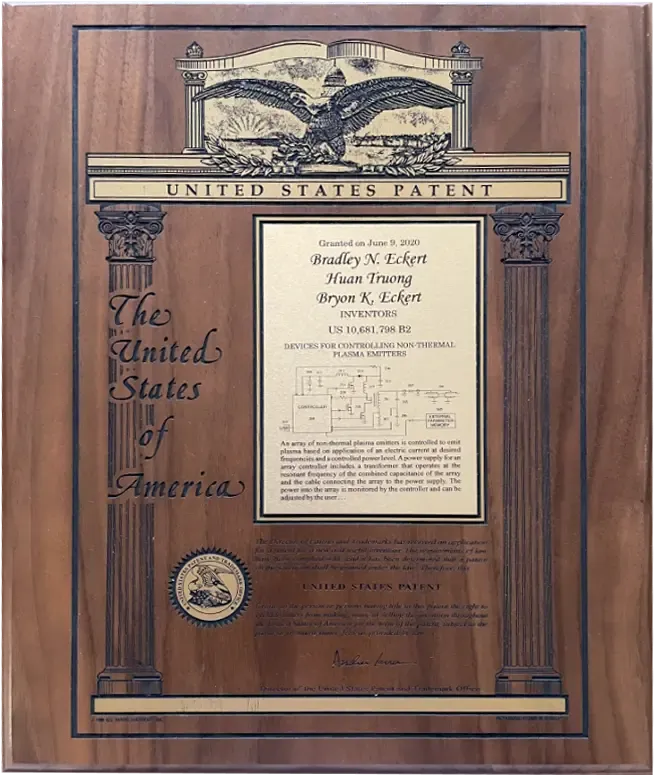 Patent